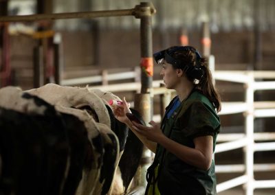 Dairy-gallery-img276